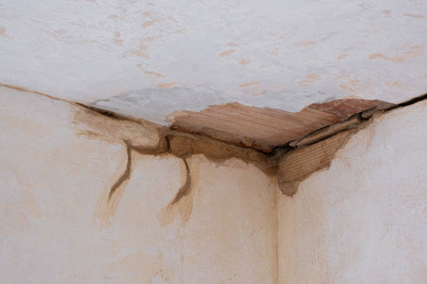 Best Professional water damage repair  in Stafford Springs, CT