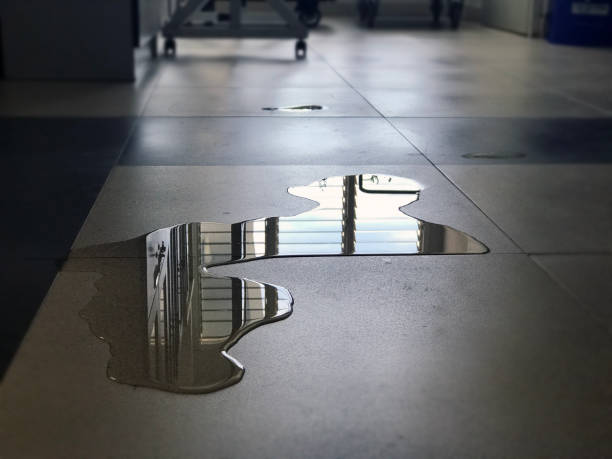 Water damage restoration insurance claims in Stafford Springs, CT